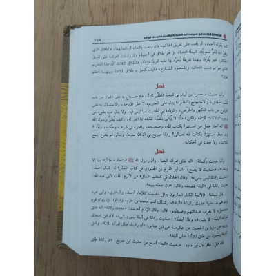 إغاثة اللهفان من مصايد الشيطان • ابن قيم الجوزية • دار الفجر للتراث