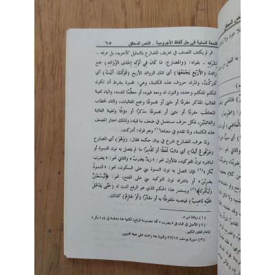 اللمعة السنية في حل ألفاظ الآجرومية • ريحان المصري • دار الرضا
