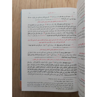 اللؤلؤ والمرجان فيما أتفق عليه الشيخان • دار الفكر