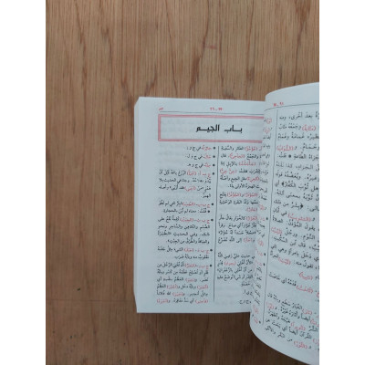 مختار الصحاح • الرازي • المكتبة العصرية • مقاس جيب