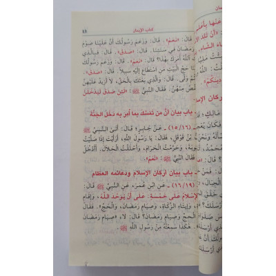 مختصر صحيح مسلم • المنذري • دار الفكر • مقاس جيب