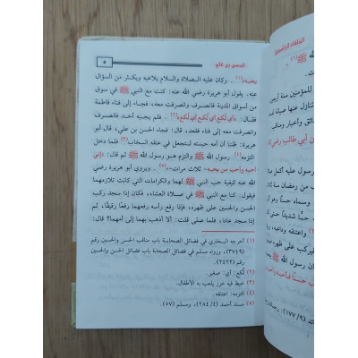 الحسن بن علي • مصطفى مراد • دار الفجر للتراث • مقاس صغير